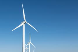 Wind turbines in a field for sustainable energy